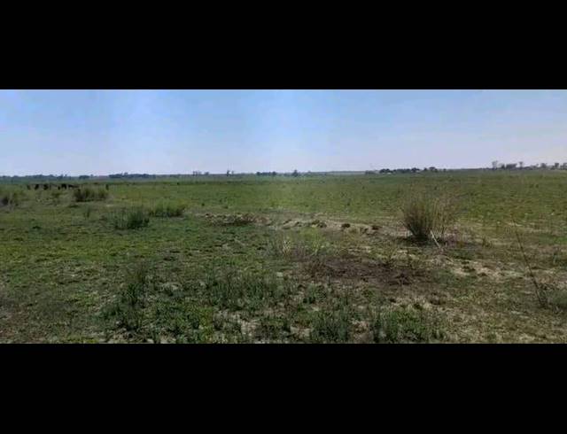 LAND FOR SALE IN KOPPIES